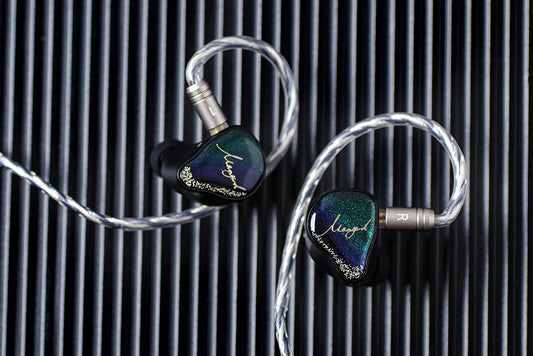 XENNS Mangird Tea Pro 2DD+6BA In-Ear Headphone