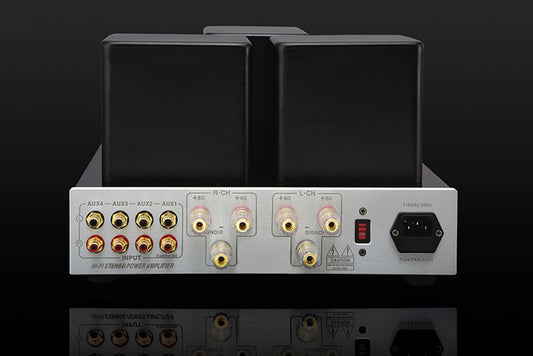 YAQIN MS77T 7027B Tube Speaker Amplifier