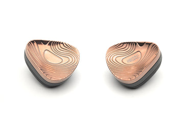 TANGZU Xuanwu GATE 1DD+4BA+2EST In-ear Headphone