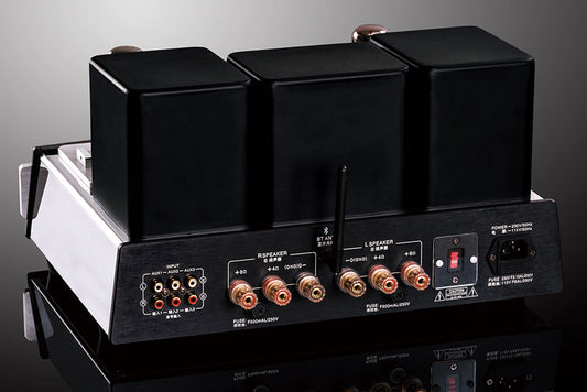 YAQIN MS34D EL34 Speaker Amplifier