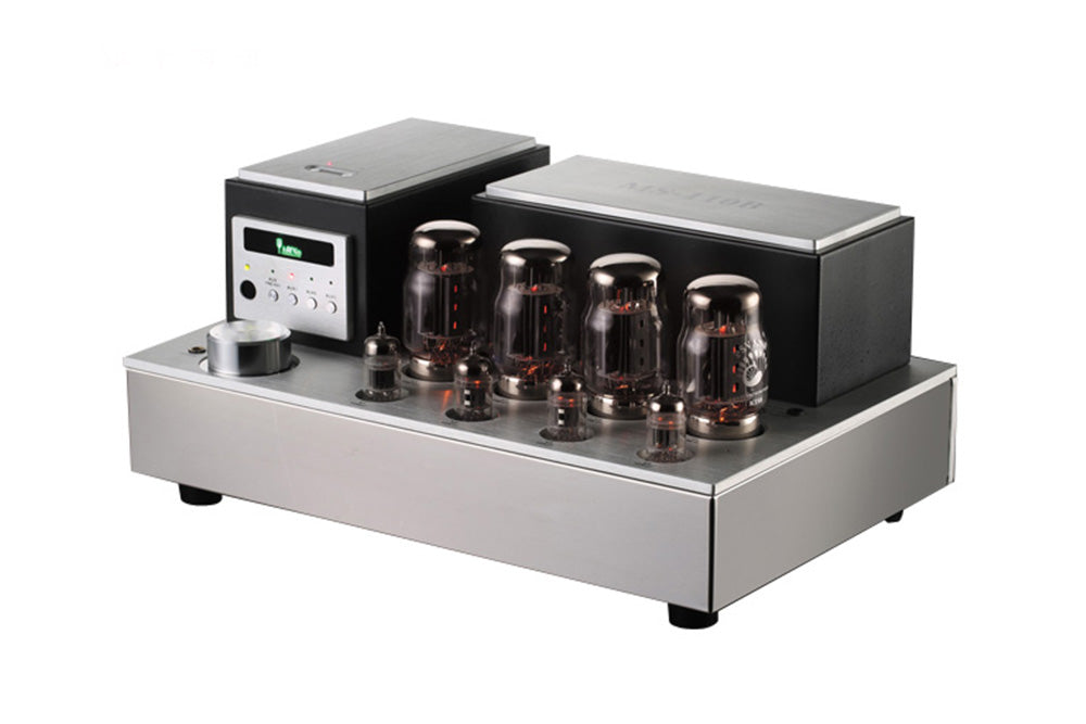 YAQIN MS110B KT8898 Tube Speaker Amplifier
