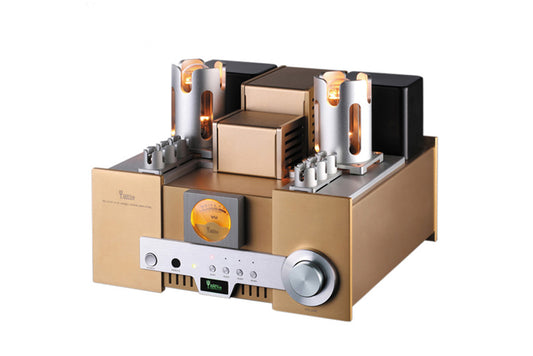 YAQIN MS650B 845 Tube Speaker Amplifier