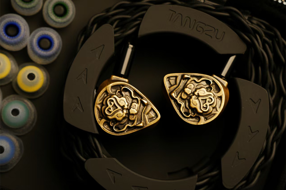 TANGZU XUANWU GATE II 1DD+4BA+2EST In-ear Headphone.
